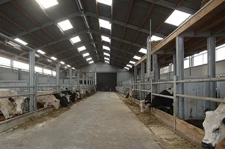 Prefabricated Steel Building