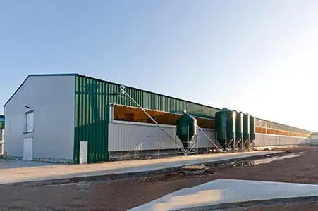 Steel Structure Chicken House