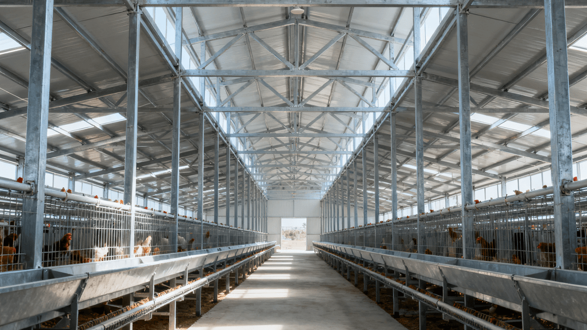 Steel Warehouse Buildings